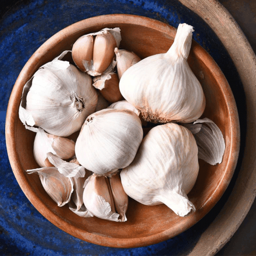 Garlic